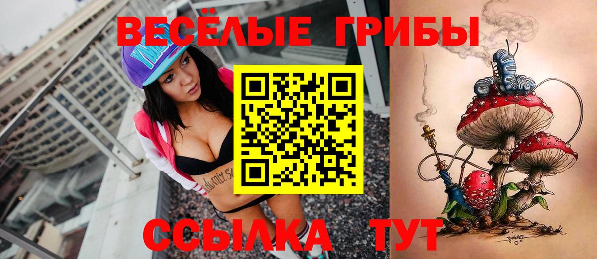 Галлюциногенные грибы Cubensis Канаш